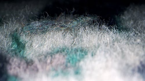 Old Carpet Fabric Macro View