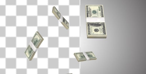 Falling Money Stacks Animation with Transparent Background