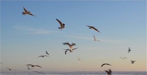 Flight 2