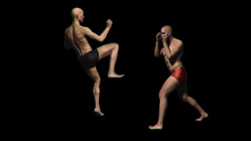 3D Animated Male Fighter Combat Moves Pack with Alpha Channel