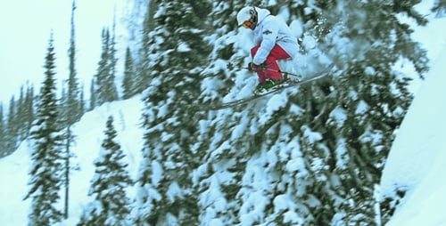Top Rider