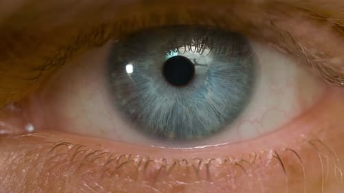 Macro Shot of Caucasian Male Blue Eye