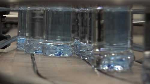 Pet or Plastic Bottles