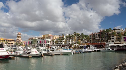 Harbour Cabo San Lucas Baja California Sur Mexico 6