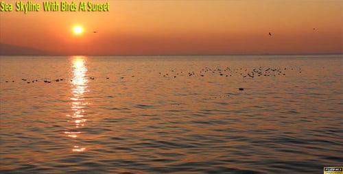 horizonte del mar con pájaros al atardecer