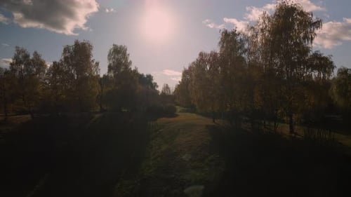Flight over the autumn park. Trees with yellow autumn leaves are visible.