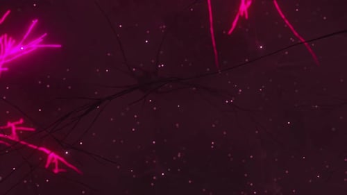 Animation of the Activity of Neurons and Synapses