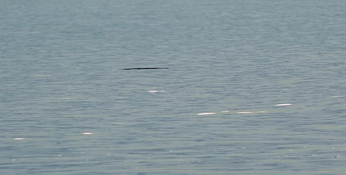 Floating Stick 02