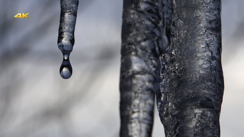 Wasser-Tropfen
