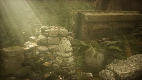 Hoary Ruins of Ancient City in Pine Forest