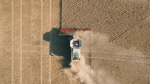 Top Down View of Harvester Machine Working in Wheat Field . Combine Agriculture Machine Harvesting