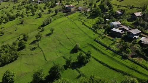 Alpine Meadows