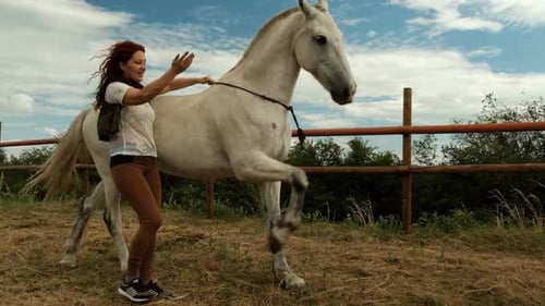 Woman Trains White Horse in Sunny Rural Field