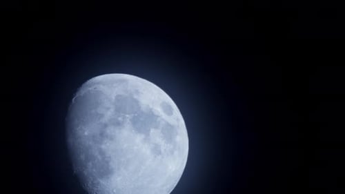 Mond