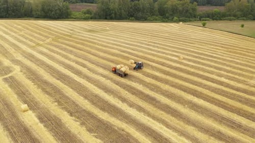 Vue d'hélicoptère Machines agricoles travaillant dans le champ Récolte