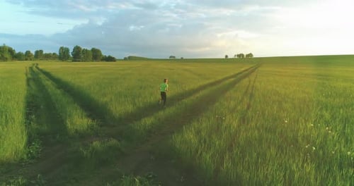 Sporty Child Runs Through a Green Wheat Field. Evening Sport Training Exercises at Rural Meadow. A