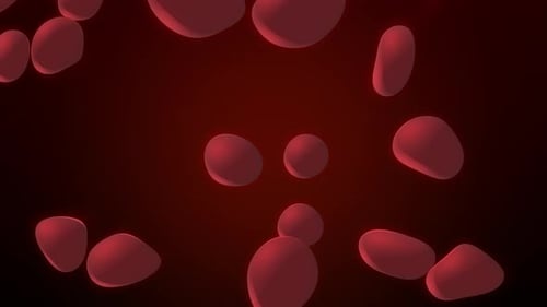 Fluid Red Blood Cells Organic Particles Medical Background Animation