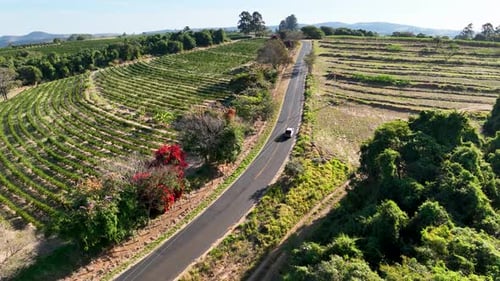 Vehicle at deserted road at rural landscape.