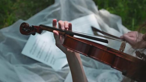 The Girl Plays with Music on the Violin in the City Park