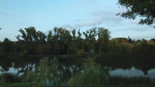 Flight over the autumn park. Trees with yellow autumn leaves are visible. Aerial photography.