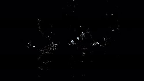 Splashing Water Droplets on Black Background