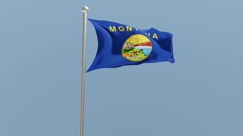 Montana flag on flagpole.