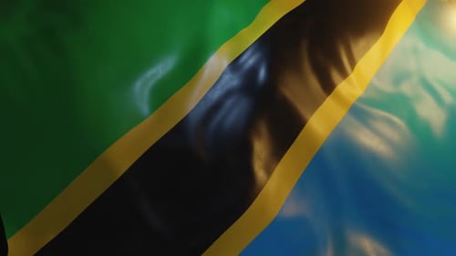 Realistic Tanzania National Flag Waving Seamless Loop