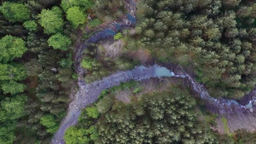 River flowing through forest valley in mountains