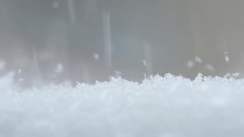 Close Up View of Winter Snowfall