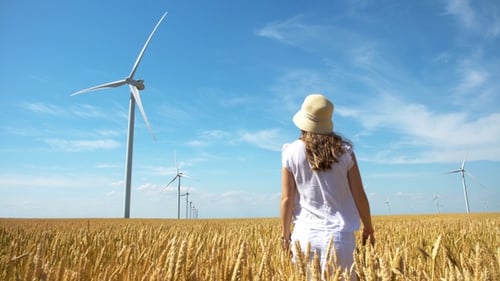 Красивая девушка идет по желтому пшеничному полю с ветряными мельницами для производства электроэнергии