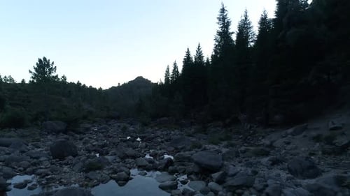 Überführung Jungle River Rocks