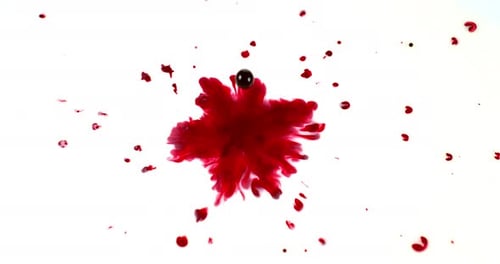 Red Liquid Splatter Blooming on White Background