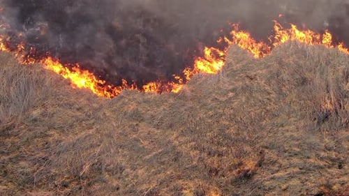 Aerial Top View of a Grass Fire