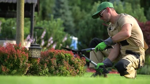 Mann beschneidet Sträucher mit einer Gartenschere.