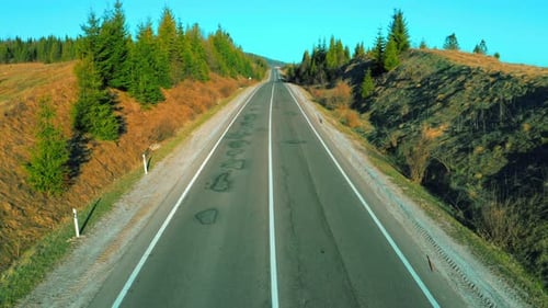 Vista superior em Way in Forest