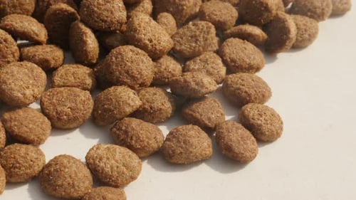 Close-up dry cat or dog food 4K 2160p 30fps UltraHD footage - Shallow DOF pet pellets on pile 384