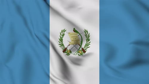Guatemala National Flag Waving Vertical Loop