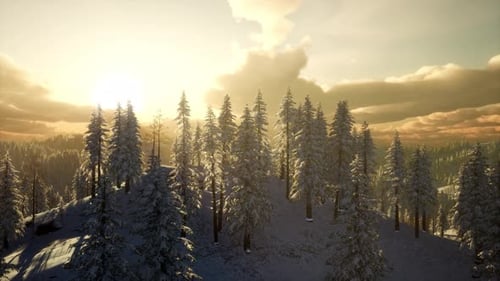 paisaje de invierno con niebla montaña puesta de sol