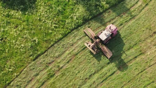 Une tondeuse autopropulsée traverse le pré en fenaison en soirée