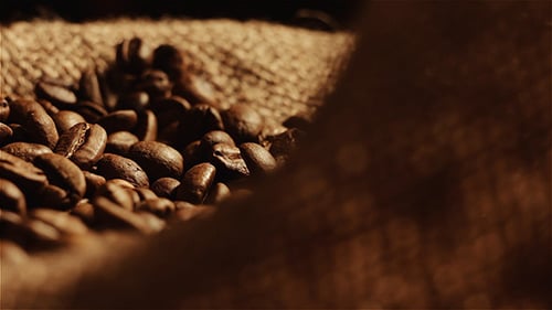 Coffee Beans