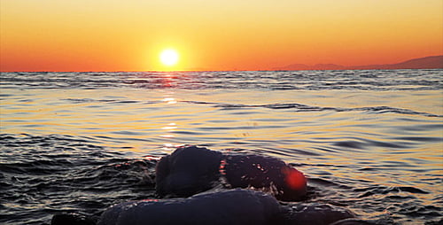 Winter Sunset on the Sea