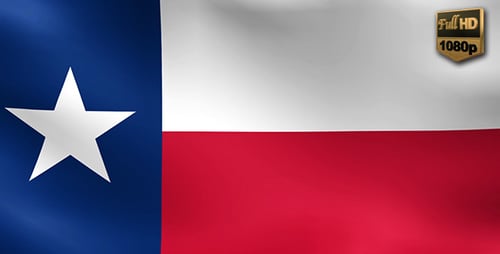 Realistic Waving Texas State Flag Loop Background