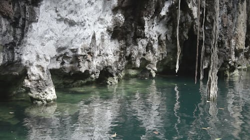 Cenote Sinkhole Mexico Wonder Clear Water 1