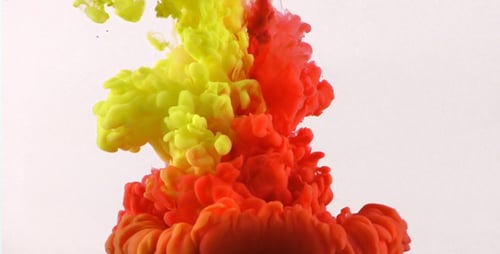 Yellow and Red Ink Mixing Abstractly in Water