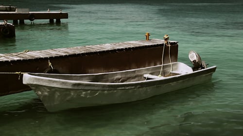 Barco Caribbean Mexico 5
