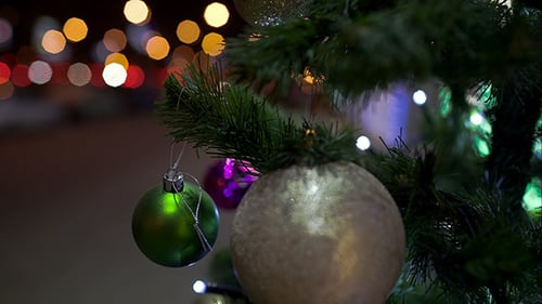 Decorated Christmas Tree Outdoor In The City