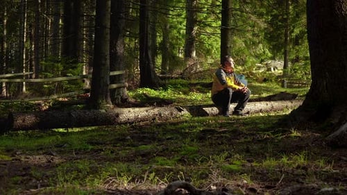 Traveller in a Beautiful Forest