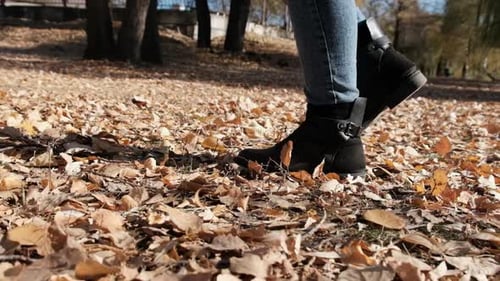 Female Legs Walking on Fallen Autumn Leaves in the Park in Slow Motion