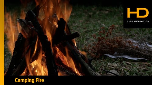 Campfire Burns Brightly in Grassy Nature Setting