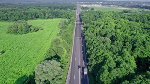 Car Riding on the Highway Through the Forest on Countryside